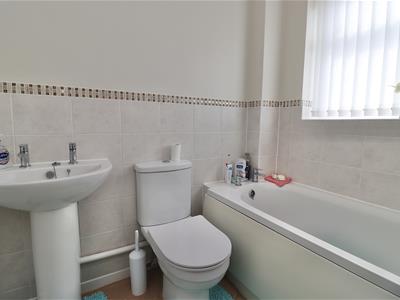 Picture 11